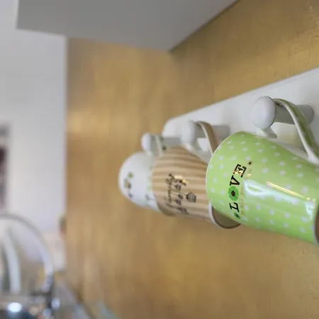 Skandi1 말린스카